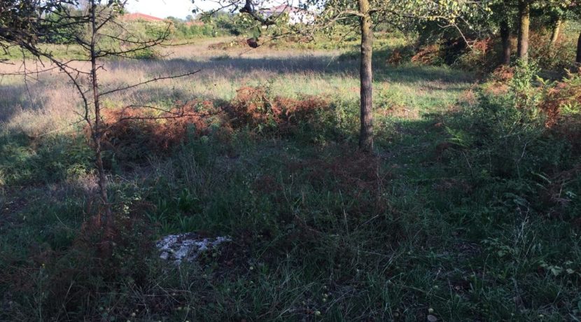 VENDESI-TERRENO-EDIFICABILE-SUPINO-FROSINONE-AGENZIA-LEPINIA-IMMOBILIARE (1)