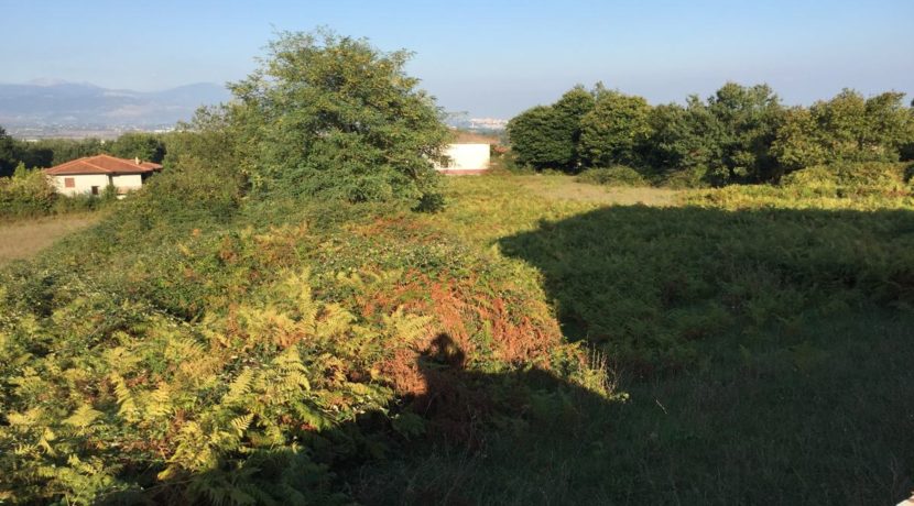 VENDESI-TERRENO-EDIFICABILE-SUPINO-FROSINONE-AGENZIA-LEPINIA-IMMOBILIARE (10)