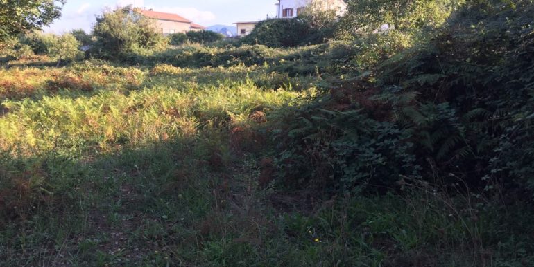 VENDESI-TERRENO-EDIFICABILE-SUPINO-FROSINONE-AGENZIA-LEPINIA-IMMOBILIARE (11)
