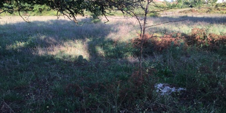 VENDESI-TERRENO-EDIFICABILE-SUPINO-FROSINONE-AGENZIA-LEPINIA-IMMOBILIARE (3)