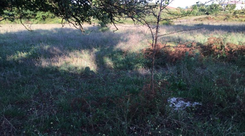 VENDESI-TERRENO-EDIFICABILE-SUPINO-FROSINONE-AGENZIA-LEPINIA-IMMOBILIARE (3)