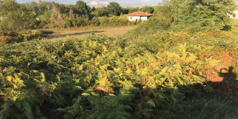 VENDESI-TERRENO-EDIFICABILE-SUPINO-FROSINONE-AGENZIA-LEPINIA-IMMOBILIARE (9)