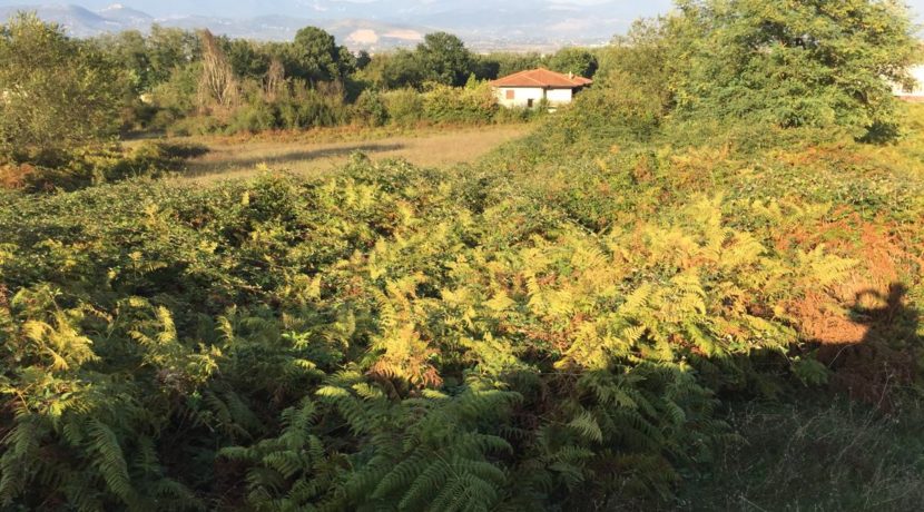VENDESI-TERRENO-EDIFICABILE-SUPINO-FROSINONE-AGENZIA-LEPINIA-IMMOBILIARE (9)