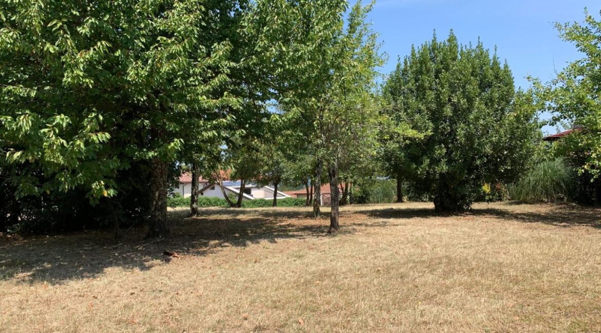 vendesi-vecchio-casale-via-farneto-supino-frosinone-lepinia-immobiliare (10)