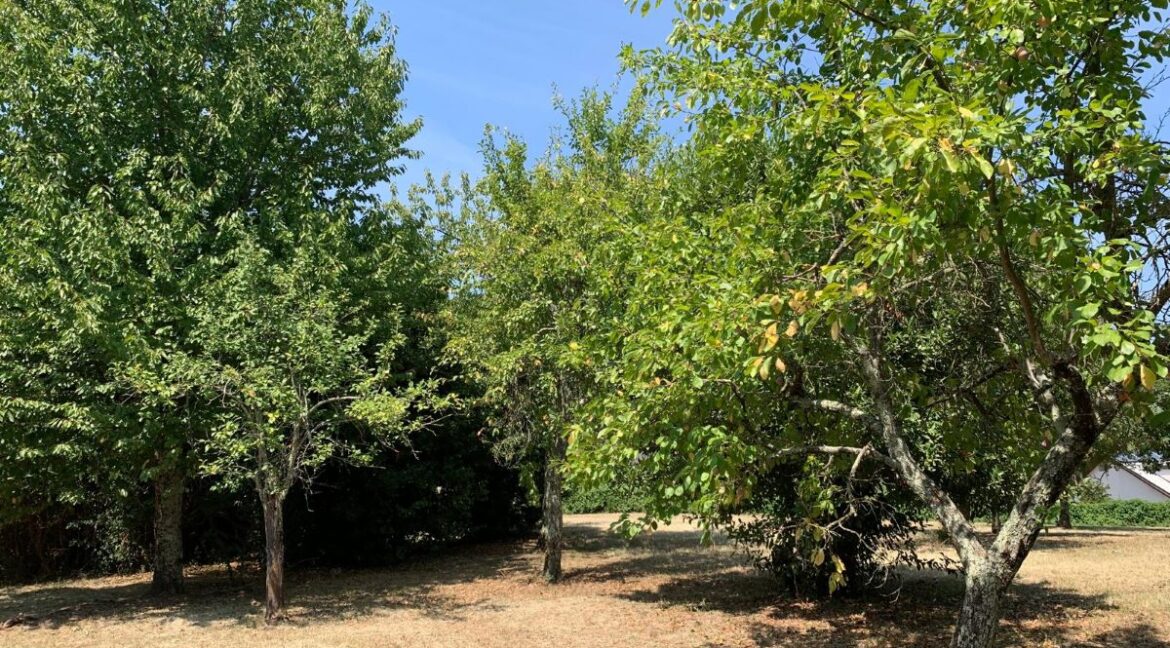 vendesi-vecchio-casale-via-farneto-supino-frosinone-lepinia-immobiliare (7)