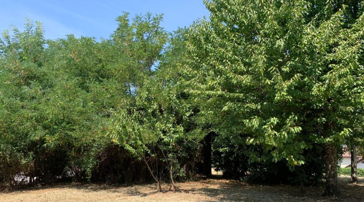 vendesi-vecchio-casale-via-farneto-supino-frosinone-lepinia-immobiliare (9)