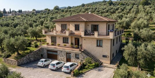 Appartamento in Locazione Supino